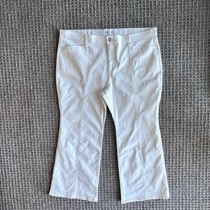WYNNE DENIM WHITE JEANS SIZE 22W PETITE